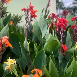 Фото Отель Семья