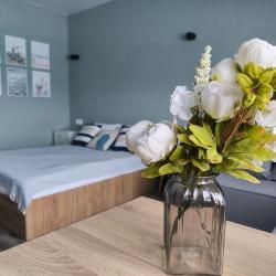 Номер студия стандарт