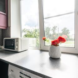 Фото Апартаменты на улице Рощинская