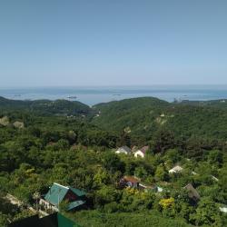 Фото Отель Дома в лесу