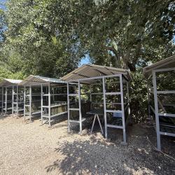 Фото Отель Зеленый остров