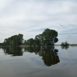 Фото Отель Рыболовно-охотничья база Поплавок на Ахтубе