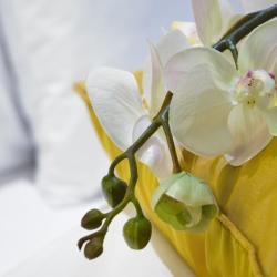 Фото Отель Holiday Inn Almaty (Холидей Инн )