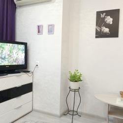 Фото Апартаменты на улице Боевая 40