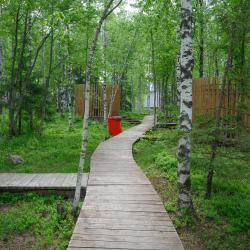 Фото Отель Пик