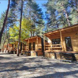 Фото Отель Baza Les (База Лес)