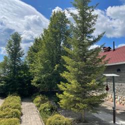 Фото Отель Арслан