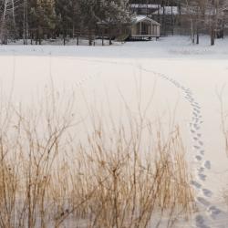 Фото Отель WoodWoodWood (ВудВудВуд)