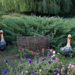 Фото Отель Сокол