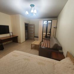 Стандартная квартира с 1 спальней