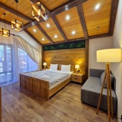 2-комнатный номер люкс семейный