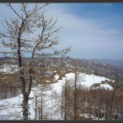 Фото Отель Apreski Бунгало на Банном (Апрески)
