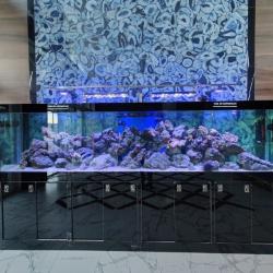 Фото Апартаменты на Зеленом бульваре 19