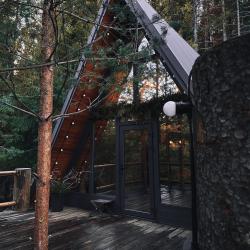 Фото Отель Хвойная хижина