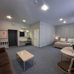 Номер стандарт бизнес с 1 двуспальной кроватью