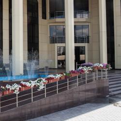 Фото Отель California (Калифорния)