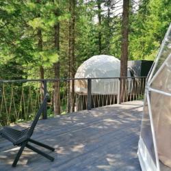 Фото Отель Fusion Inn (Фьюжн Инн)