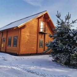 Коттедж премиум Шереметьевский