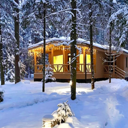 Гармония леса