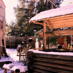 Фото Отель Гостевой Дом Троица