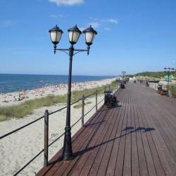 Фото Отель Стрекоза