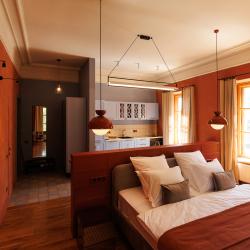 Номер студия премиум Инжир