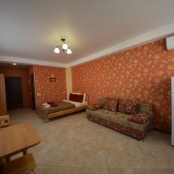 Комната студия с 1 двуспальной кроватью и видом на море