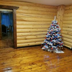 Фото Отель Ковчег