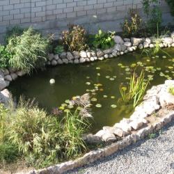 Фото Отель Магнолия