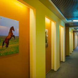 Фото Отель Покровское-Дивное