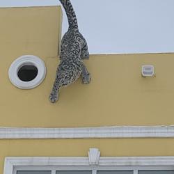 Фото Отель Ирбис