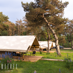 Фото Отель Малина