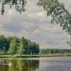 Фото Отель Лесное