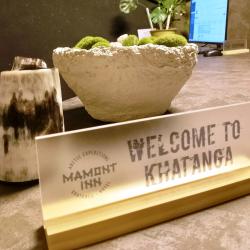 Фото Отель Mamont Inn (Мамонт Инн)