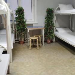 Двухъярусная кровать в 8-местном общем мужском номере