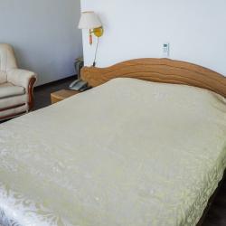 Фото Отель Русь