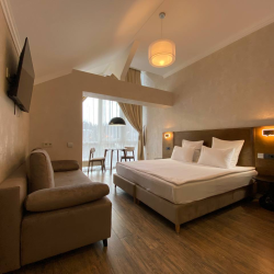 1-комнатный номер стандарт эконом