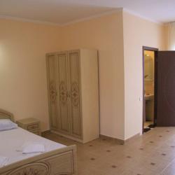 Номер полулюкс с 1 двуспальной кроватью