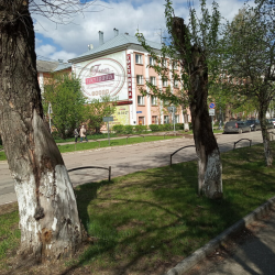 Пелысь — 026cb0d1043dfe69a49bf397bfd378e3