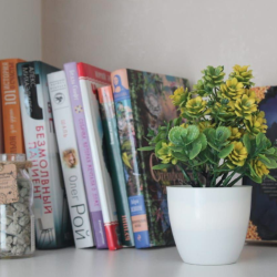 2-комнатные апартаменты стандарт