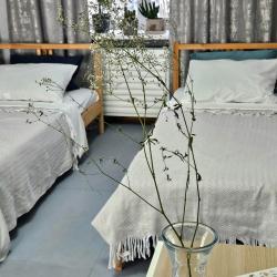 3-комнатные апартаменты эконом