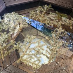 Фото Отель Valentina (Валентина)