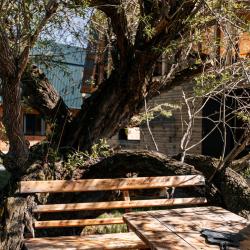 Фото Отель Алтайские дачи