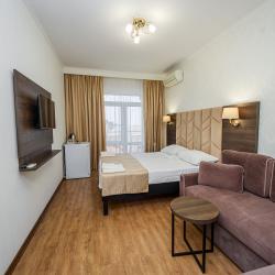 Номер делюкс с 1 двуспальной кроватью (вид на бассейн)