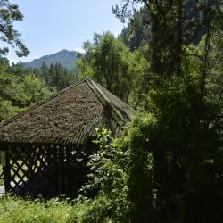 Фото Отель Ареда-1 Mountain hotel