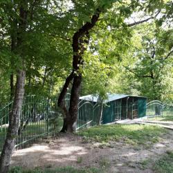 Фото Отель Дома в лесу