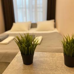 Фото D'LOFT Hotel (ДиЛОФТ Отель)