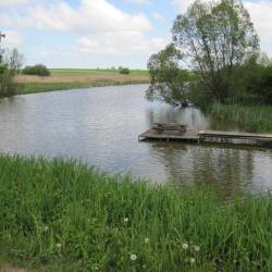 Фото Отель Гостиный дворик