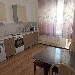 Фото Апартаменты на шоссе Супсехское 26 корпус 9