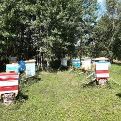 Фото Отель Дом в деревне Чернокуново